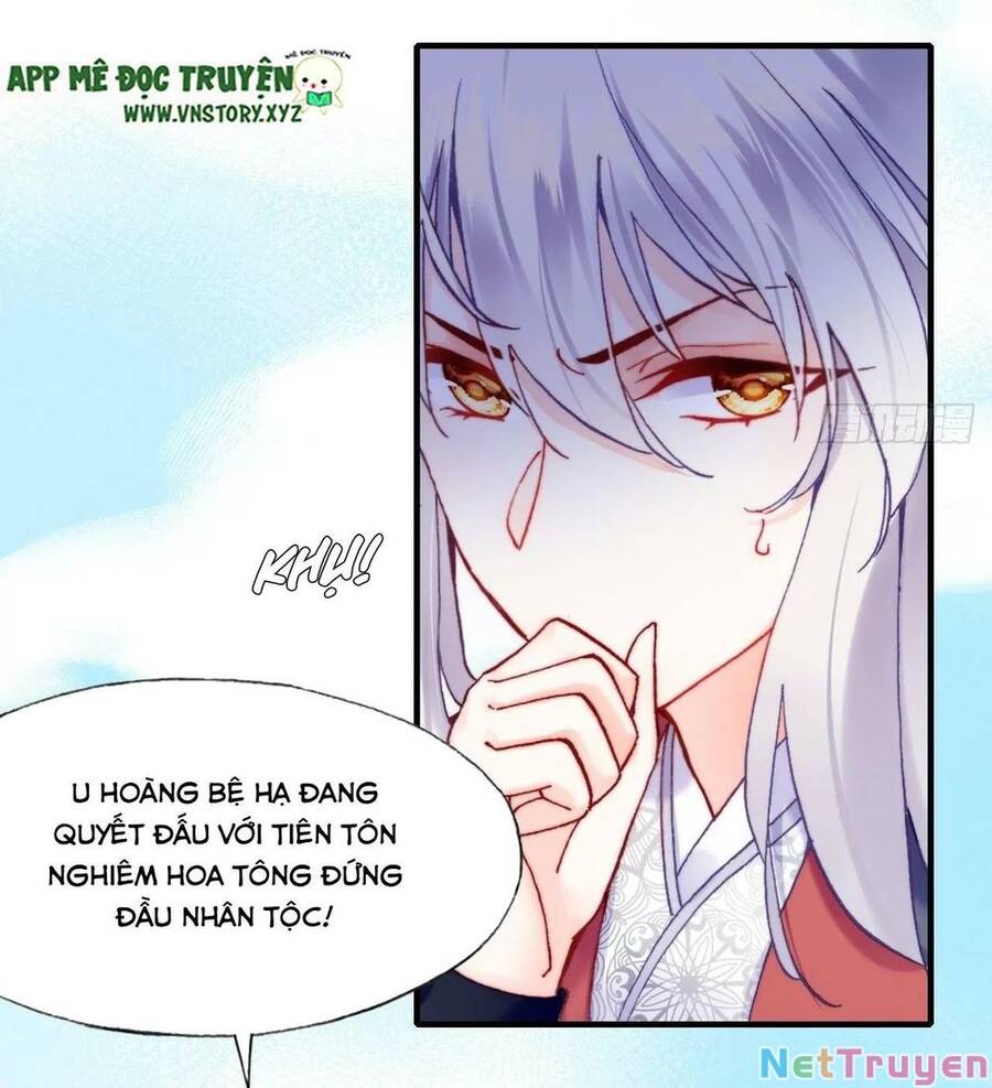 lại bị bệnh chiều chuộng quấn lấy chapter 80 2