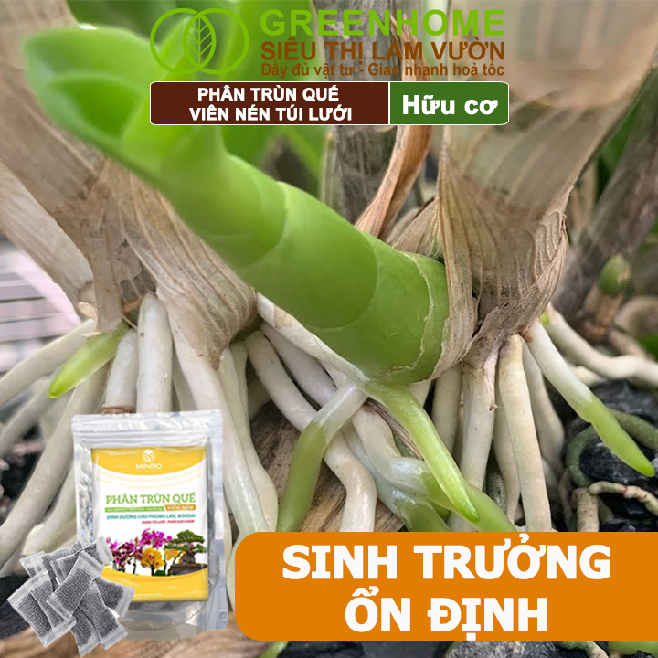 Phân Trùn Quế Viên Nén Greenhome, Lavamix, Túi lưới, Dinh Dưỡng Hữu Cơ, Không Mùi, Tốt Cho Lan, Bonsai, Rau