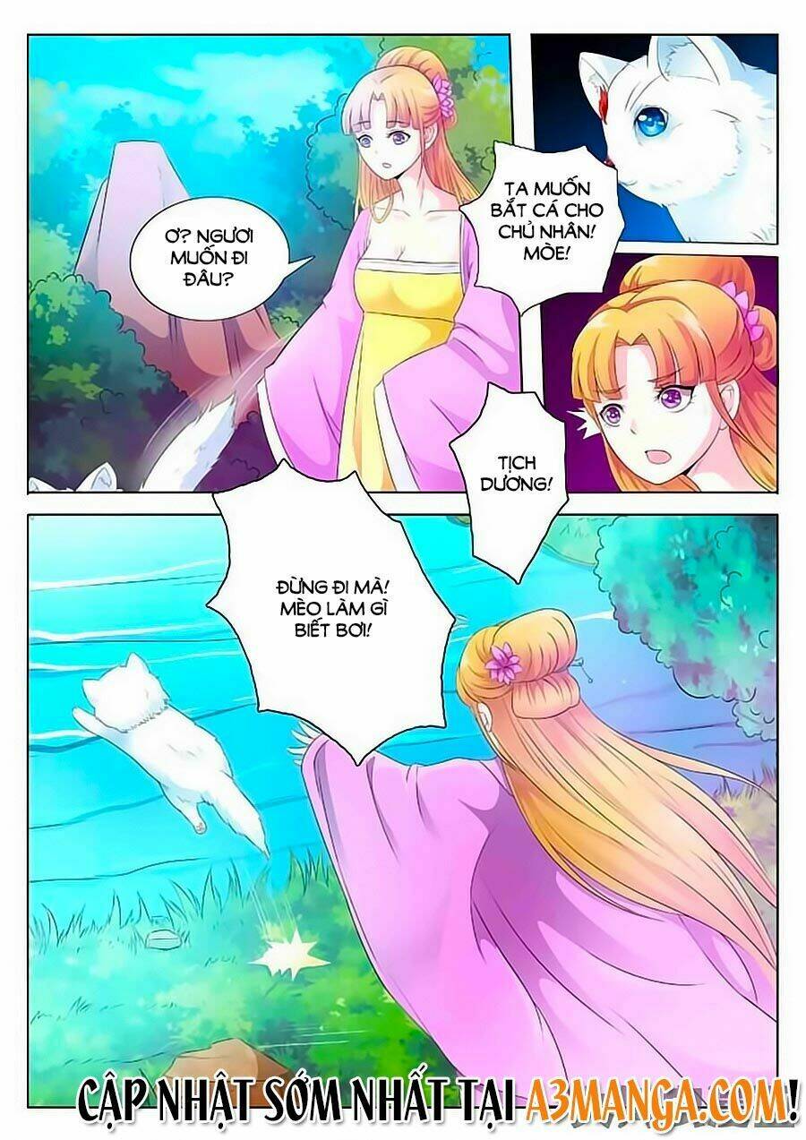 mau lấy con mèo đó ra chapter 1 10