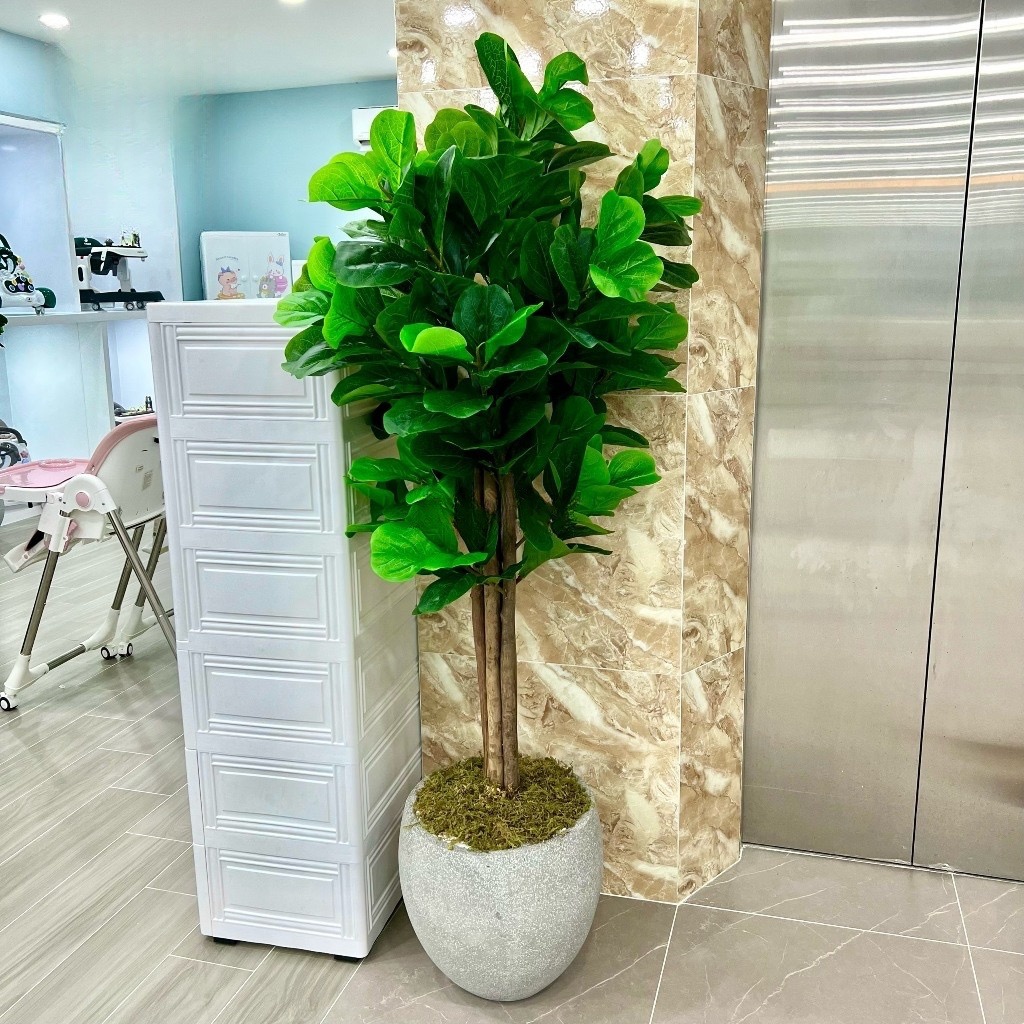 Cây bàng singapore giả - cao 160cm - Cây giả, hoa lụa Decor trang trí nhà cửa