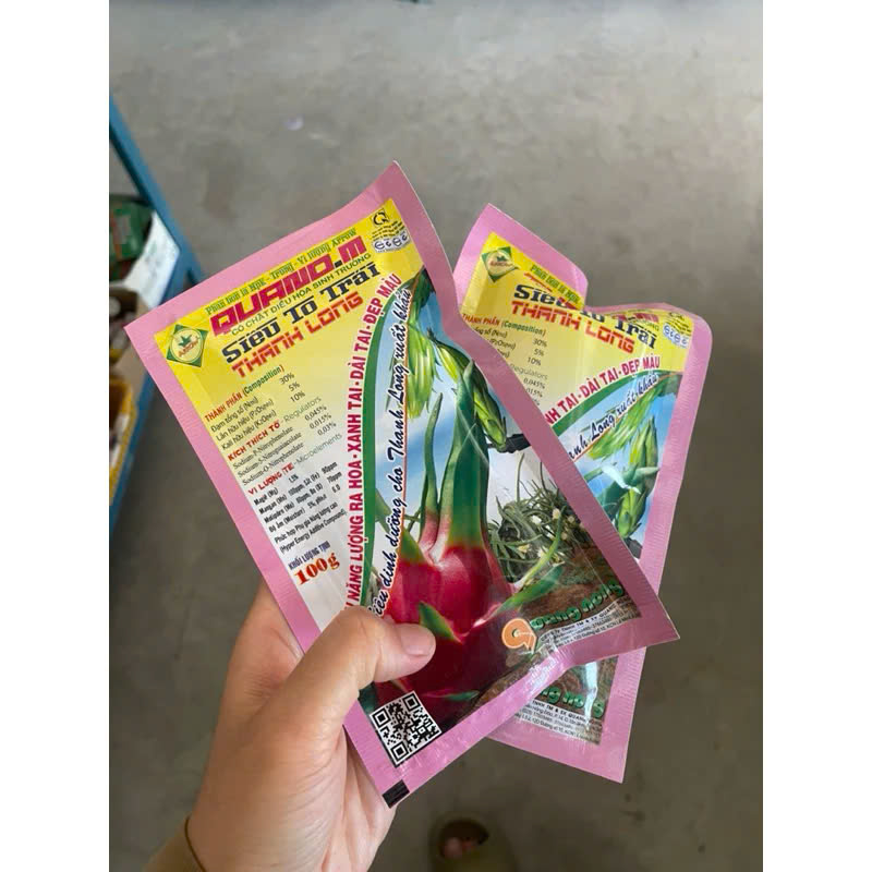 Siêu to trái Thanh Long - Quang nông không lem - Siêu ra hoa - Xanh tai - Dày tai - Đẹp màu