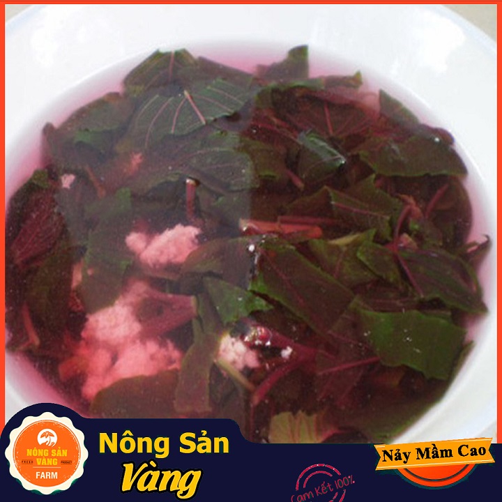 Hạt giống Rau Dền Đỏ - Nông Sản Vàng