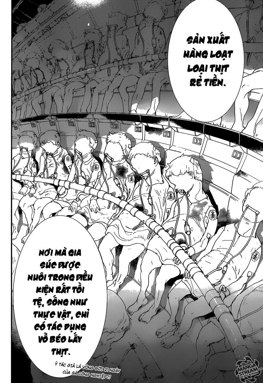 miền đất hứa chapter 50 10