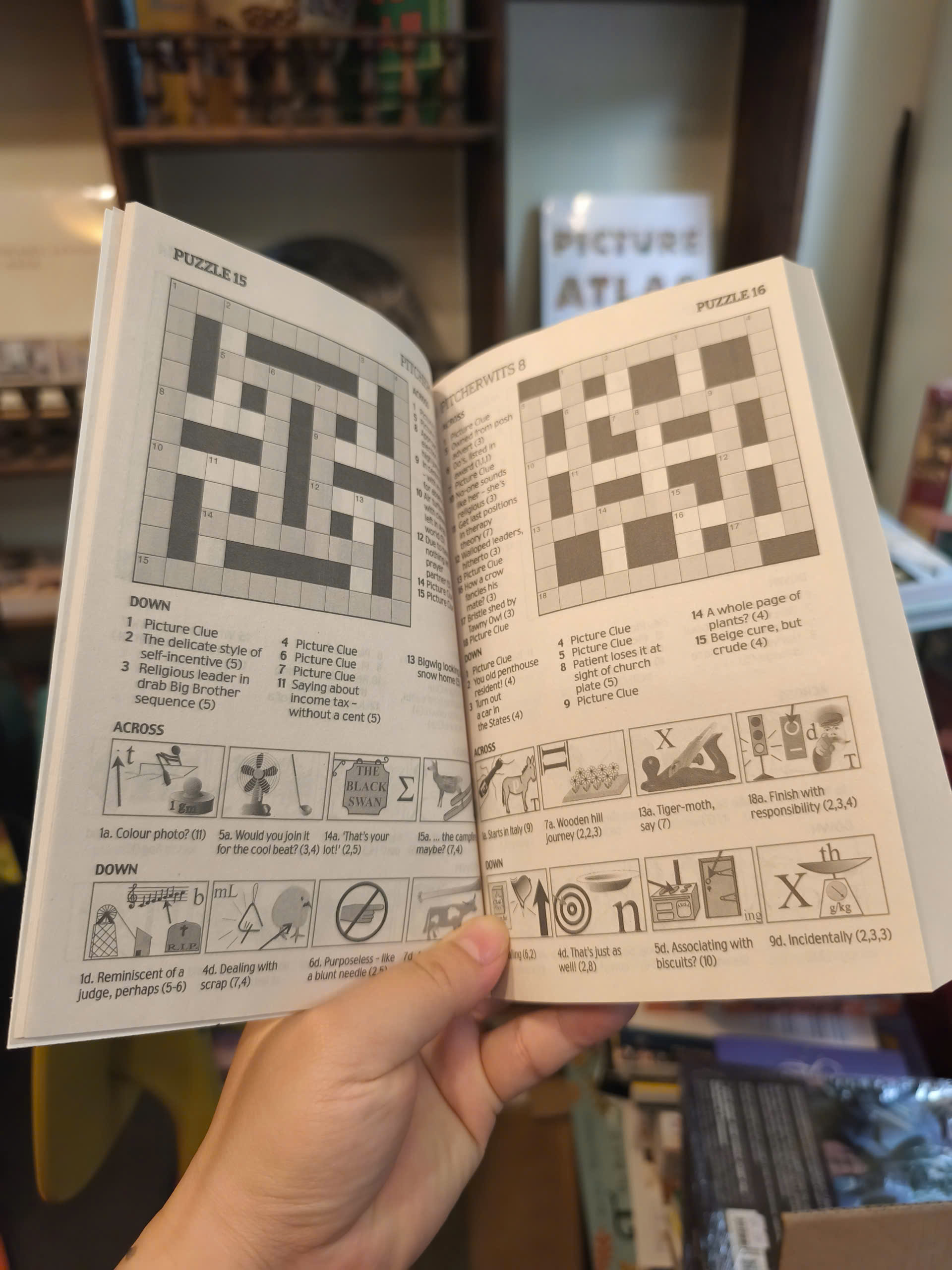 Sách - Pitcherwits 8 - Picture Puzzle | Games / Ngoại văn Nhập khẩu UK / Trò chơi giải trí