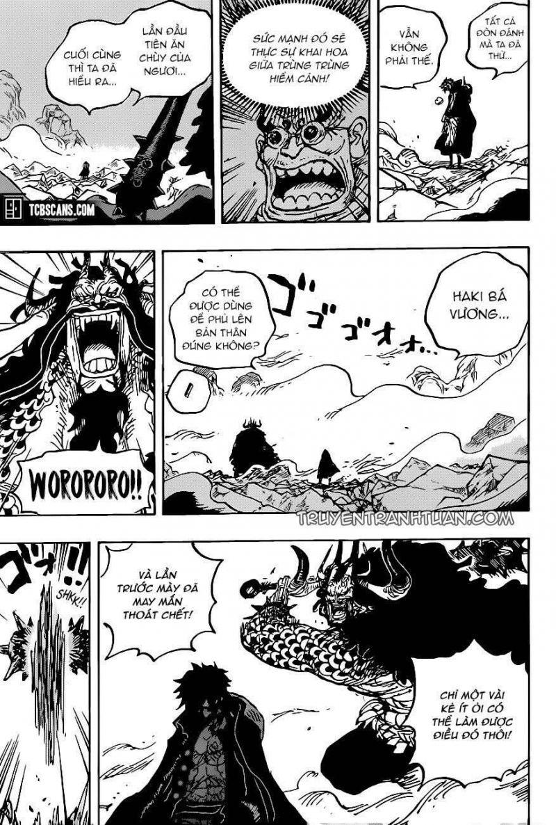 đảo hải tặc - one piece chapter 1010 12