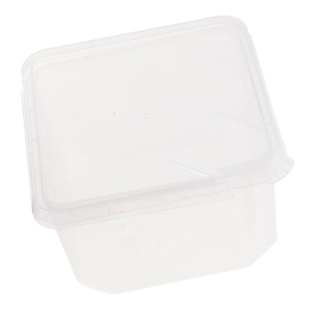 Plastic Insect Spider Habitat Feeding Box Cage Container REUSABLE 12x12x7cm