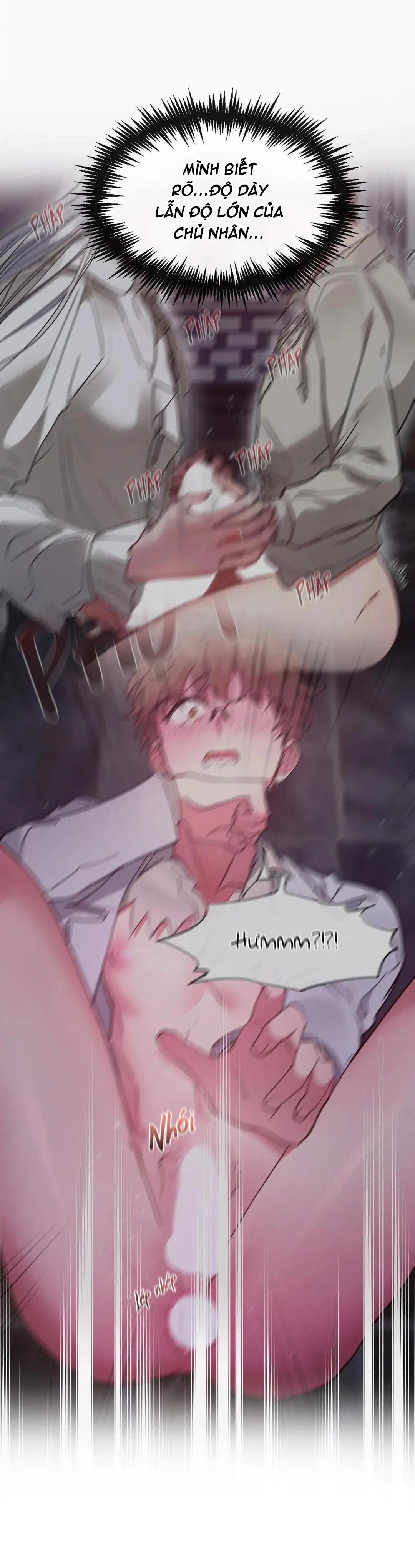 lâu đài tình dục chapter 15 8