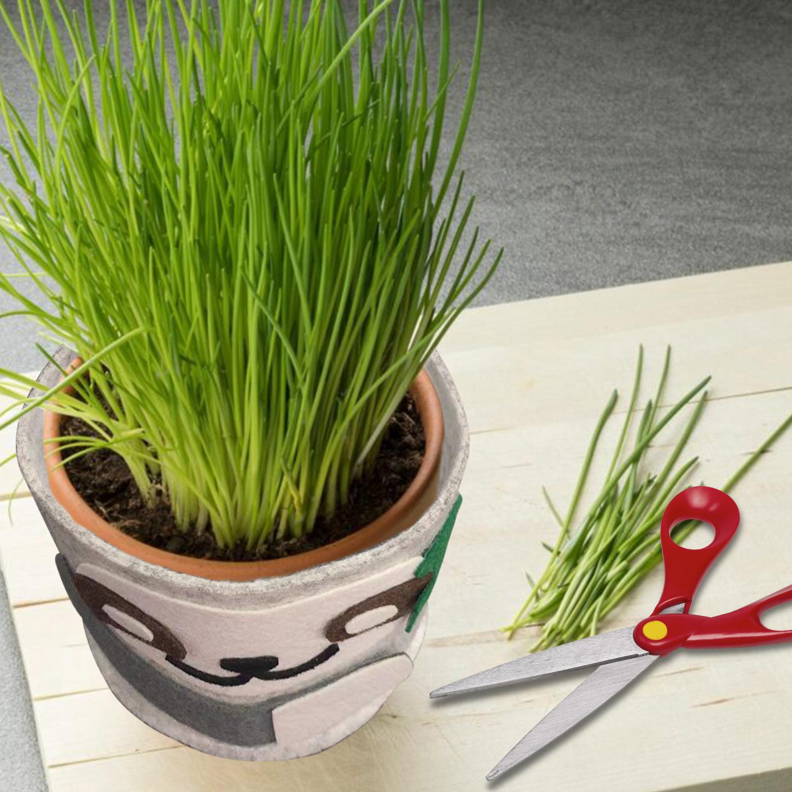 Chậu hoa trồng câu bằng vải dễ thương hình thú dùng trong nhà, ngoài trời