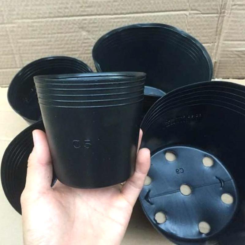 100 Chậu nhựa ươm cây C5 10.5x11x7.5 nhựa pe dẻo bền -0277202