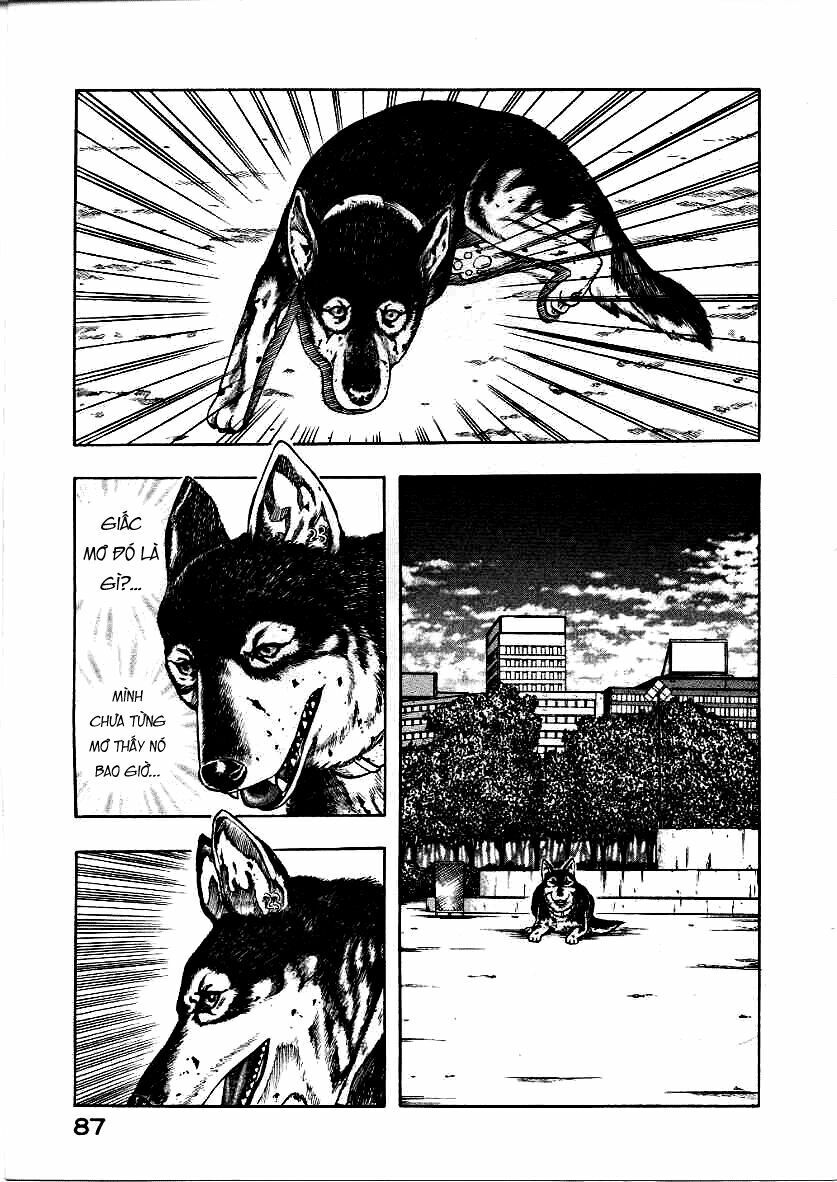 inugami chapter 12 5