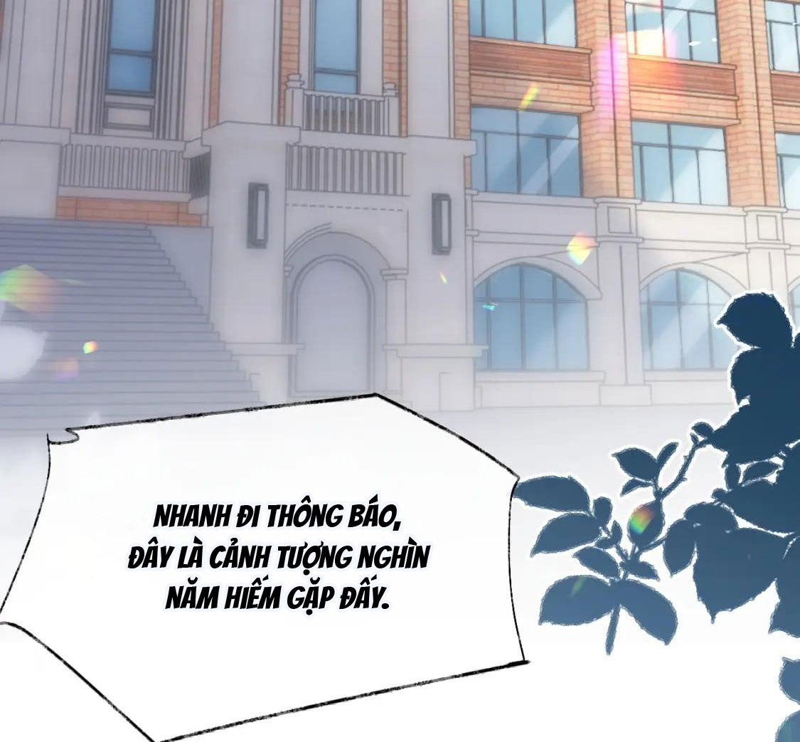 xin hãy ly hôn chapter 90 45