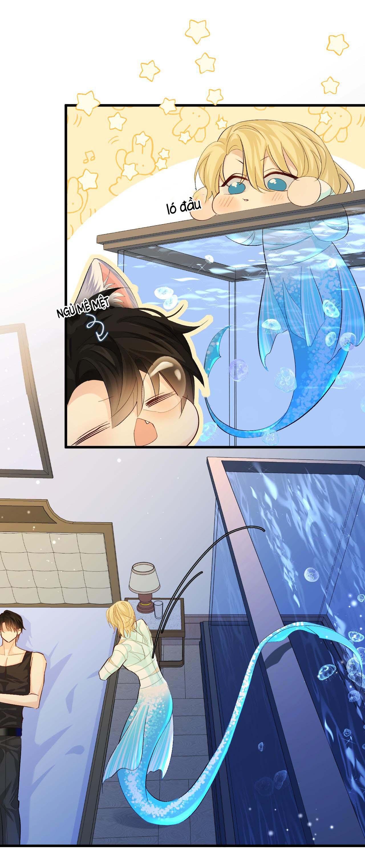 nhân ngư sa ngã chapter 23 24