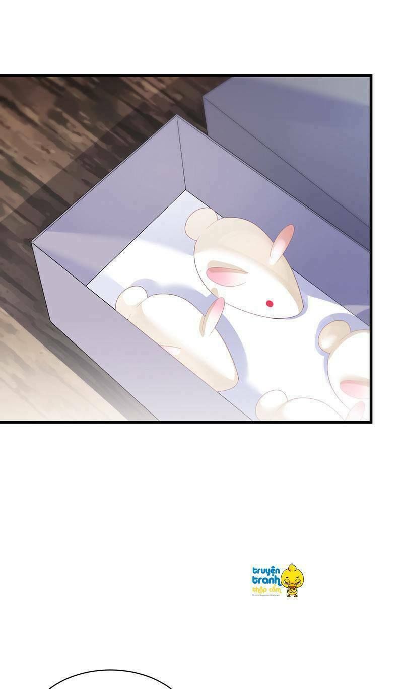 chọc tới chủ tịch tổng tài 2 chapter 72 16