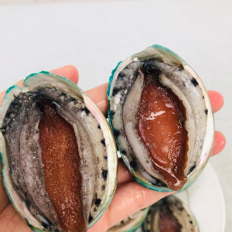 Bào ngư Úc viền xanh - 1kg