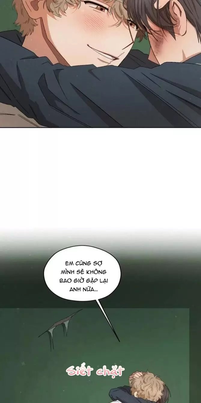 liveta chapter 37 67