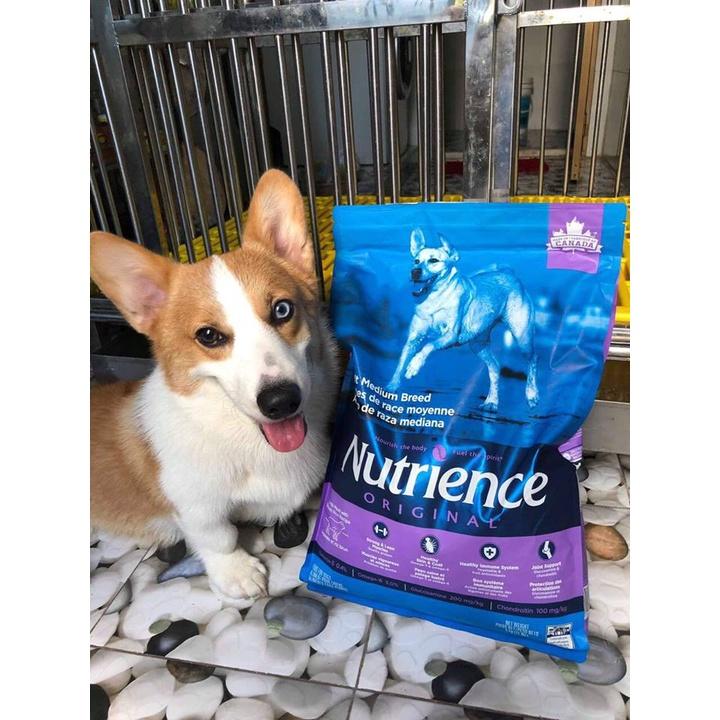 Thức Ăn Cho Chó Đốm Dalmatian Nutrience Original Bao 5kg Hỗ Trợ Xương Cơ Khớp - Thịt Cừu, Rau Củ, Trái Cây