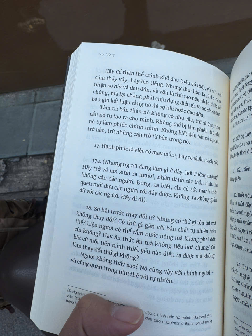 (Ấn bản mới 2025) SUY TƯỞNG – Marcus Aurelius – Andy Lương dịch – Spiderum – NXB Thế Giới