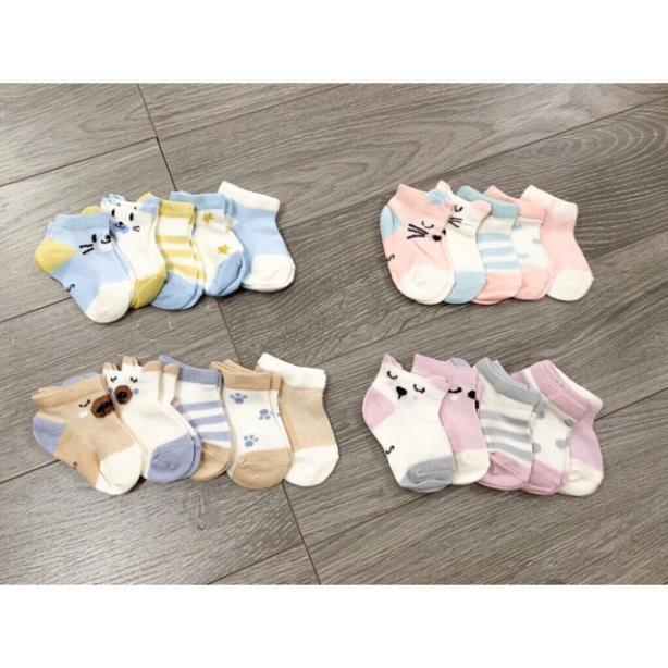 Sét 5 Đôi Tất Lưới Kids Socks Loại Đẹp