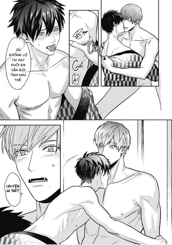 mật ngọt dã thú chapter 8 8