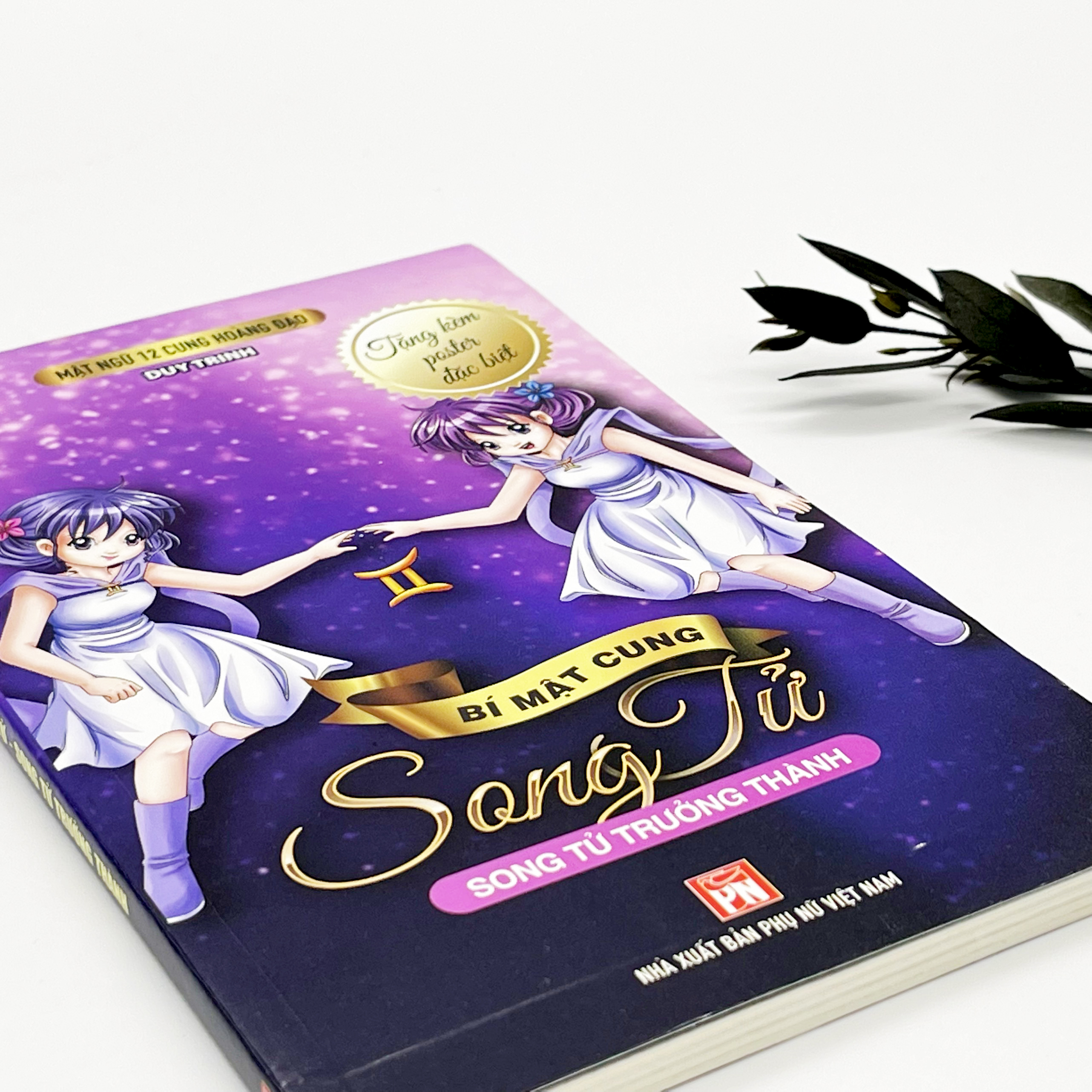 Mật Ngữ 12 Cung Hoàng Đạo - Giải mã 12 chòm sao - Bí Mật Cung Song Tử - Song Tử Trưởng Thành