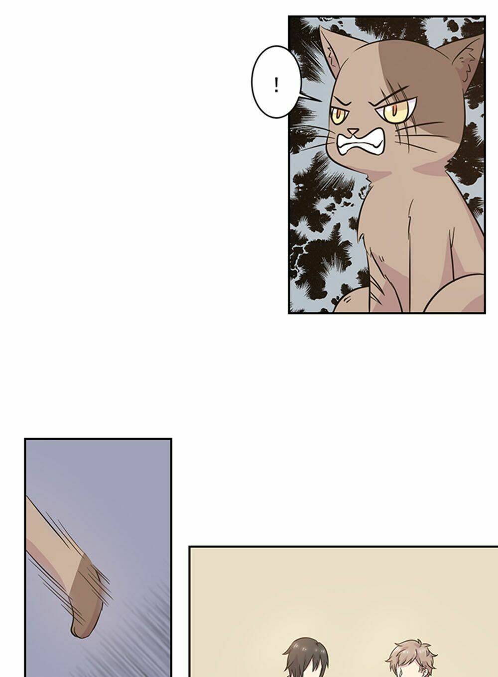 hai chú mèo totem chapter 22 12