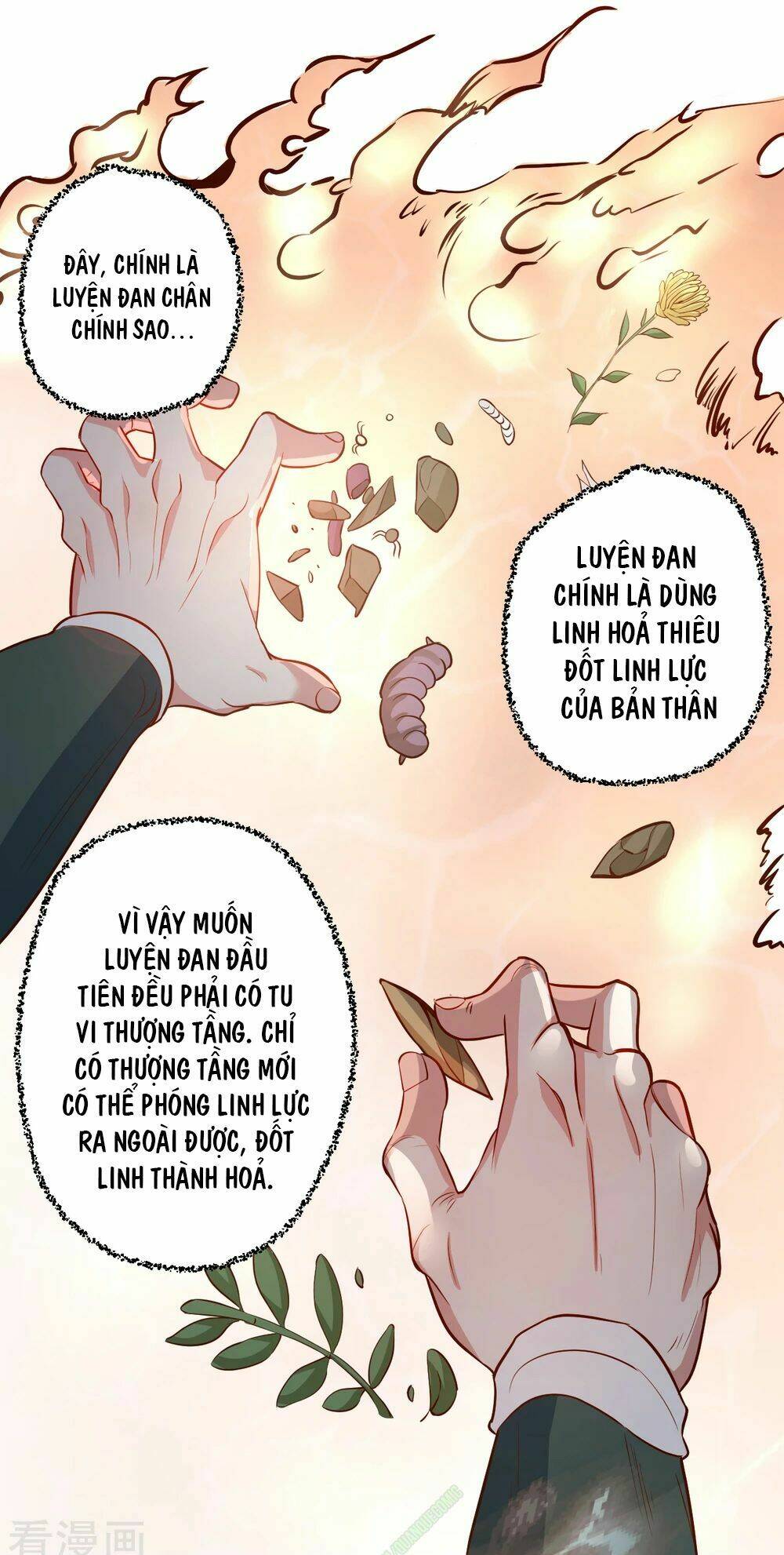 tối cường đại biểu hoàng kim thận chapter 10 23