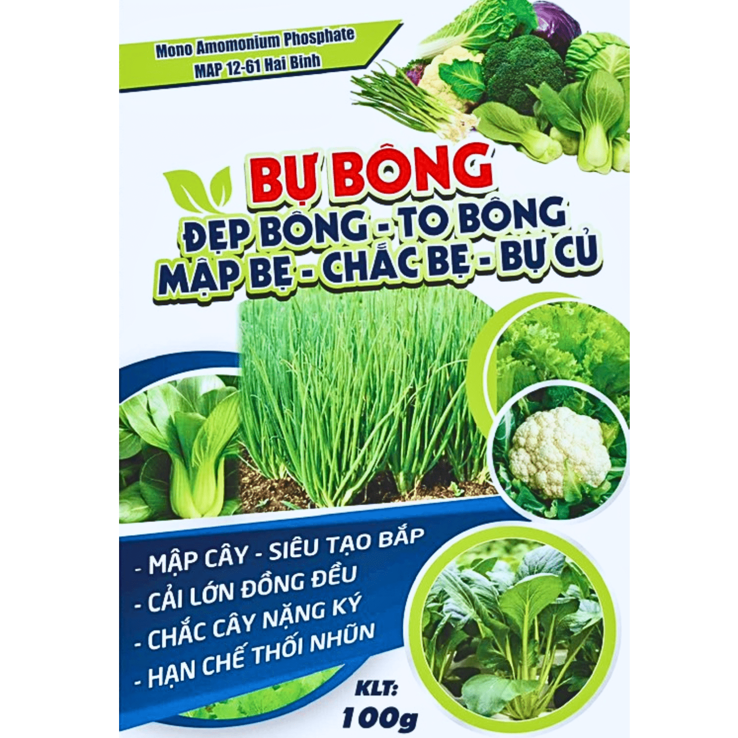 Phân bón Vigami Mono Amomonium Phosphate MAP 12-61 Hai Binh bự bông 100G
