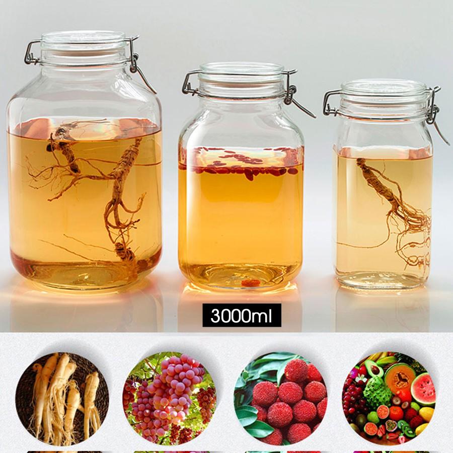 ITALY Hũ thủy tinh làm kombucha, ngâm rượ u nắp cài kín hơi FIDO - Bormioli Rocco - CÁC SIZE
