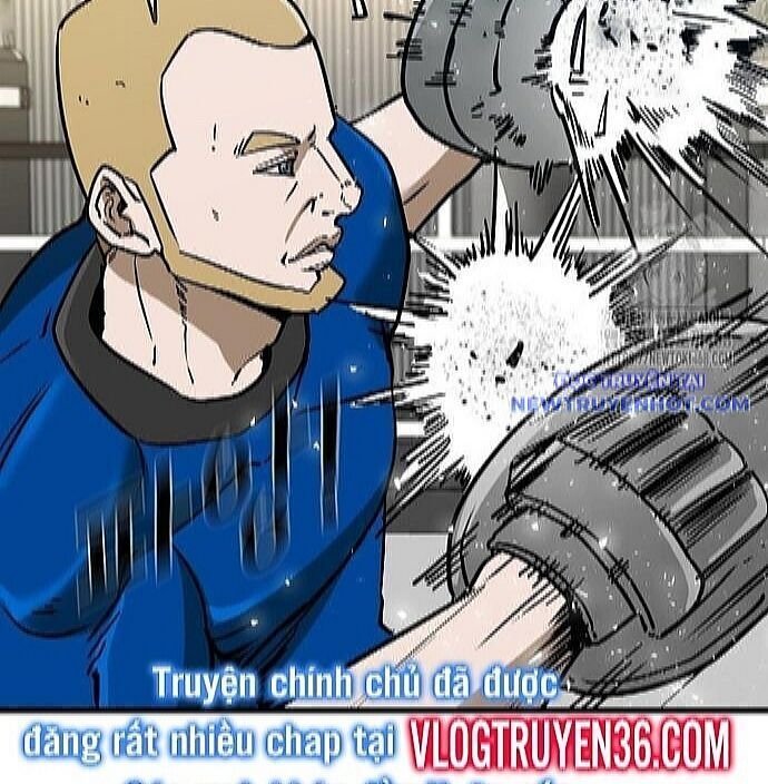 shark - cá mập chapter 350 137