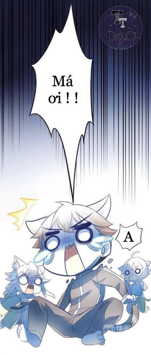 dưới móng vuốt mèo chapter 4 27