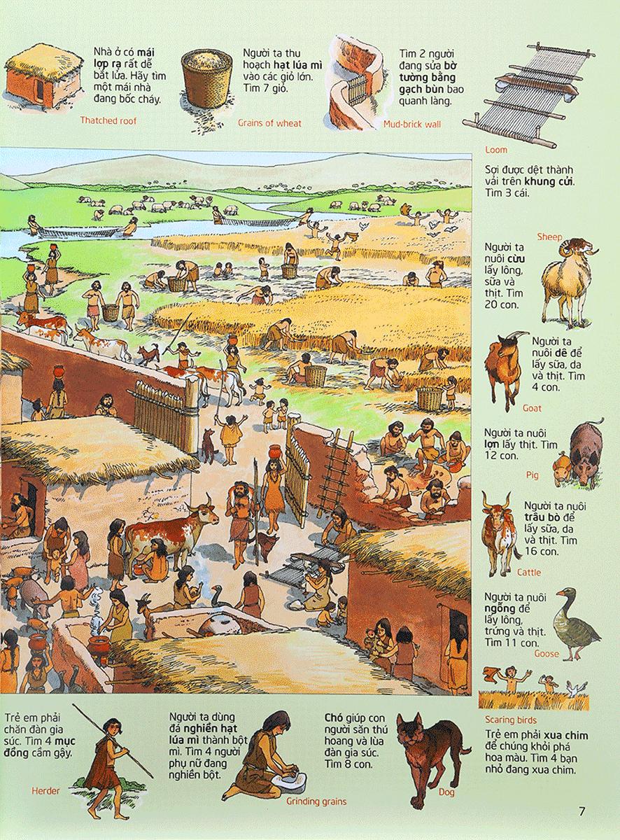 Thử Tài Tìm Kiếm - Lịch Sử