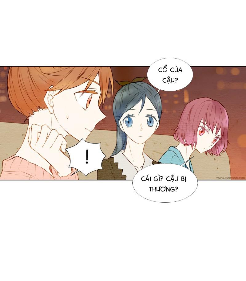 sao chép chapter 11 8