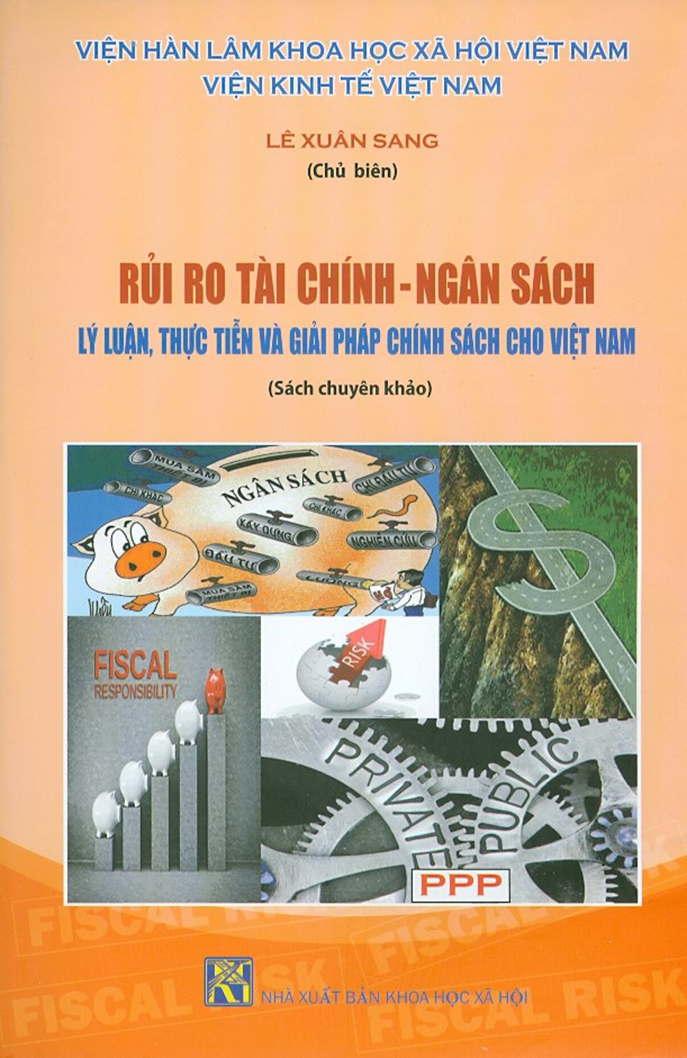 Rủi Ro Tài Chính - Ngân Sách: Lý Luận, Thực Tiễn Và Giải Pháp Chính Sách Cho Việt Nam