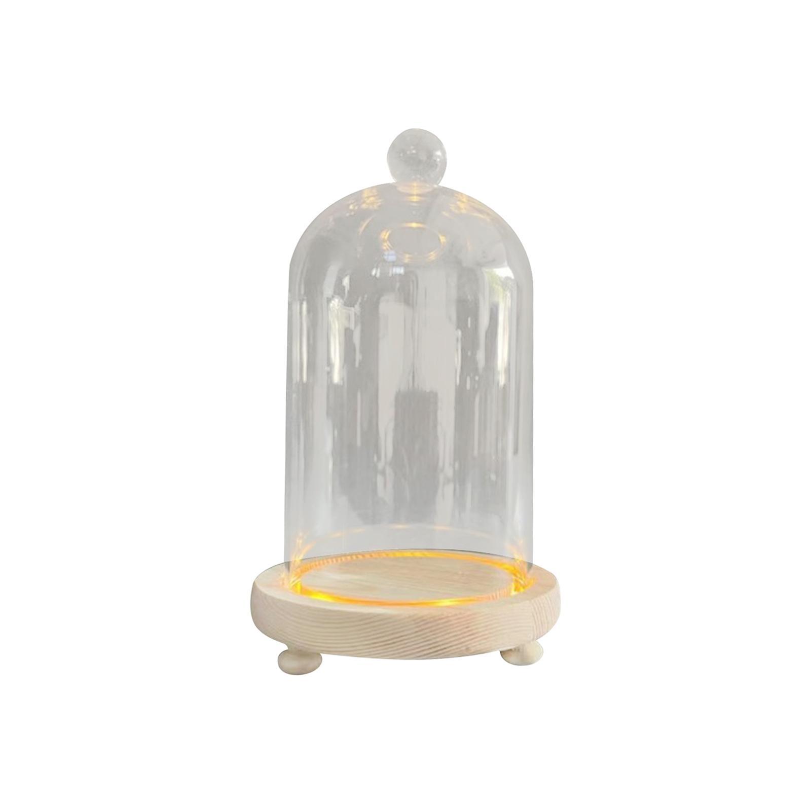 Glass Cloche Dome Eternal Flowers Glass Domes Showcase Transparent Dome Cloche