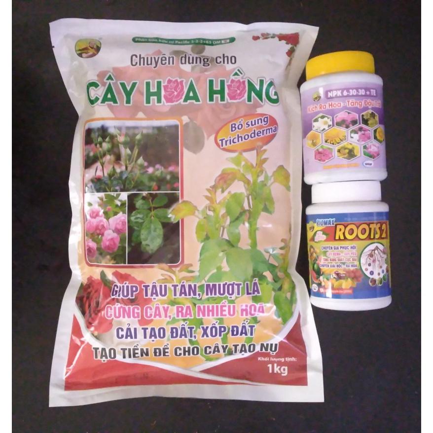 Bộ 3 kích hoa kích rể cây Hoa Hồng