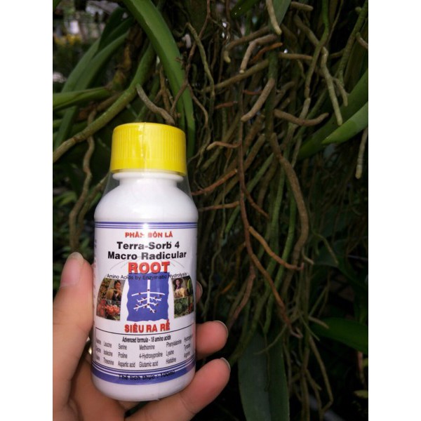 Phân Bón Lá Cao Cấp Siêu Ra Rễ Terra - Sorb 4 Root Chai 100ml