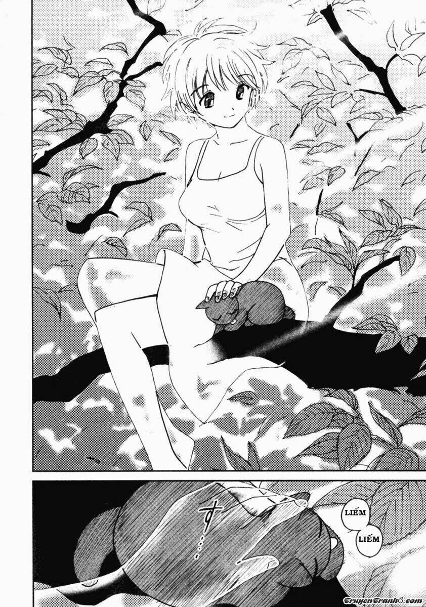 itoshi no kana chapter 6 21