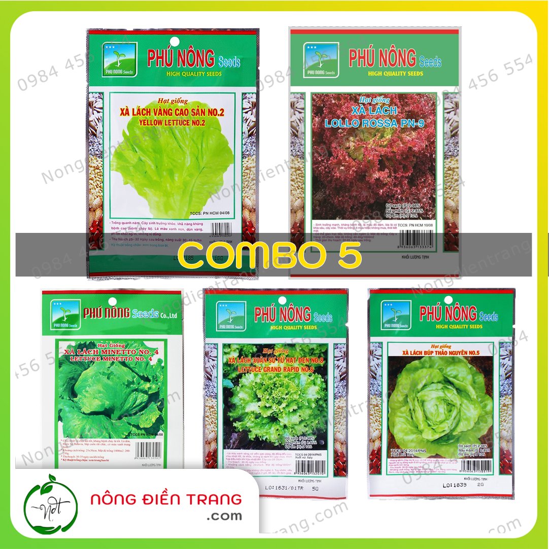 COMBO 5 gói hạt giống rau xà lách các loại - VTNN Nông Điền Trang