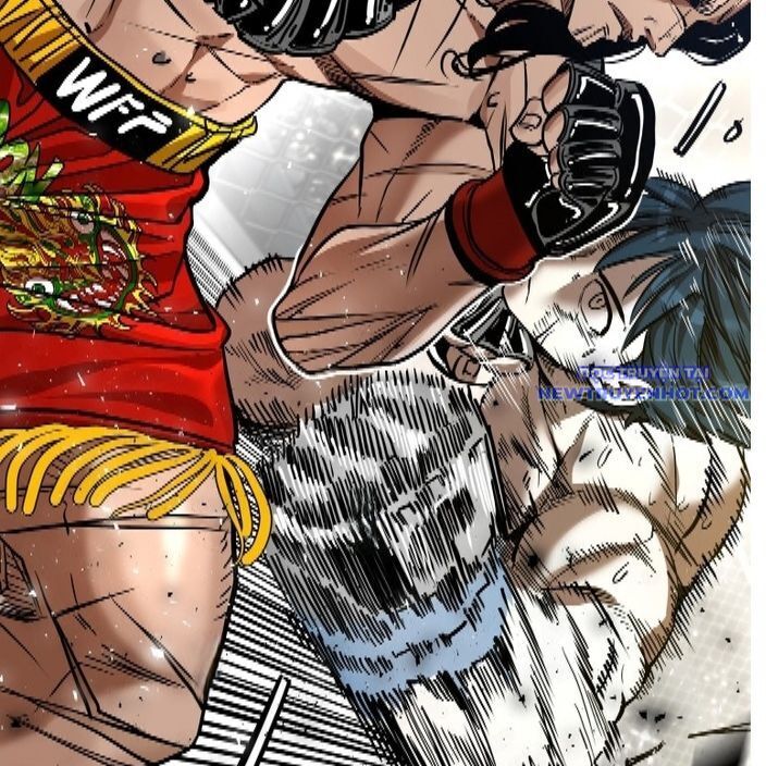 shark - cá mập chapter 335 25