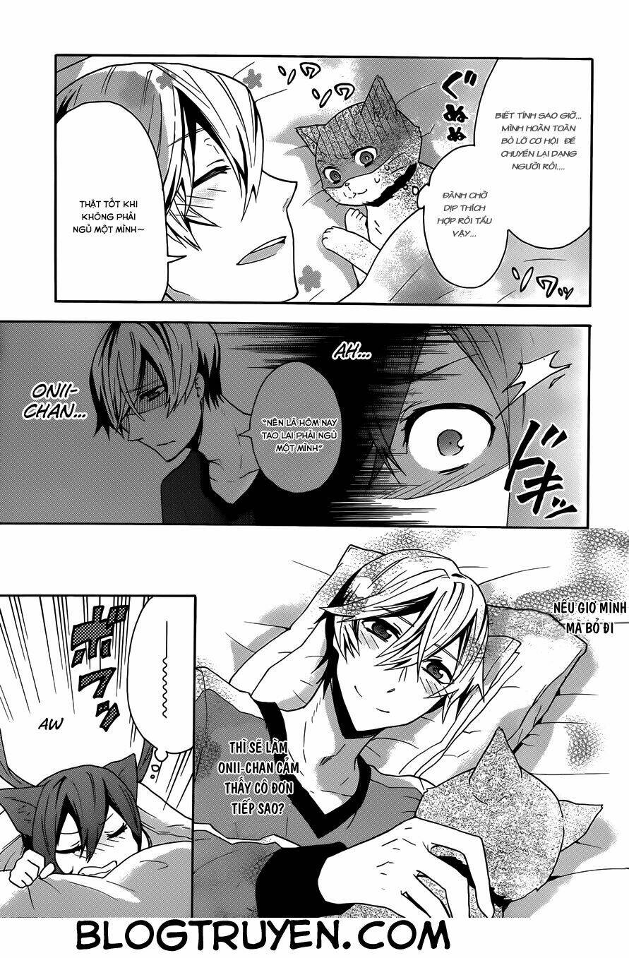 oniichan no koto ga suki sugite nyan nyan shitai burakon imouto dakedo sunao ni narenai no chapter 3 7