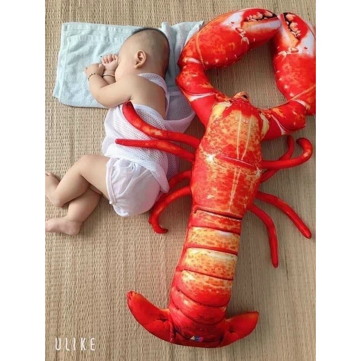 THÚ BÔNG TÔM HÙM ALASKA KHỔNG LỒ