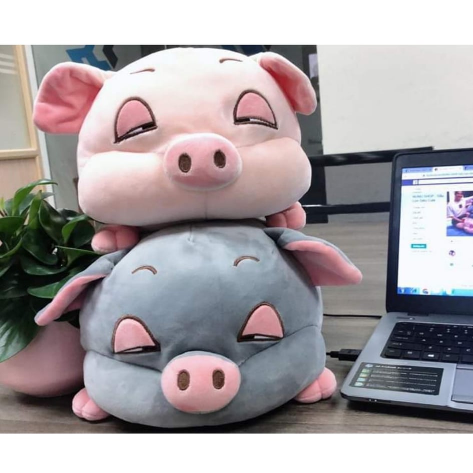 Gấu bông Heo Heo mắt híp 50cm - Lợn bông ngủ cute êm ái, mềm mại