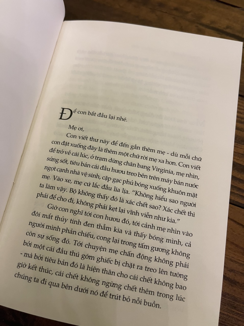 MỘT THOÁNG TA RỰC RỠ Ở NHÂN GIAN– Ocean Vuong - Khánh Nguyên dịch – THBooks – Nhã Nam - NXB Hội Nhà Văn