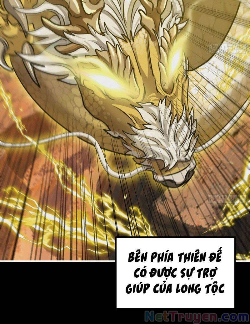 khởi đầu bằng một con côn chapter 163 23