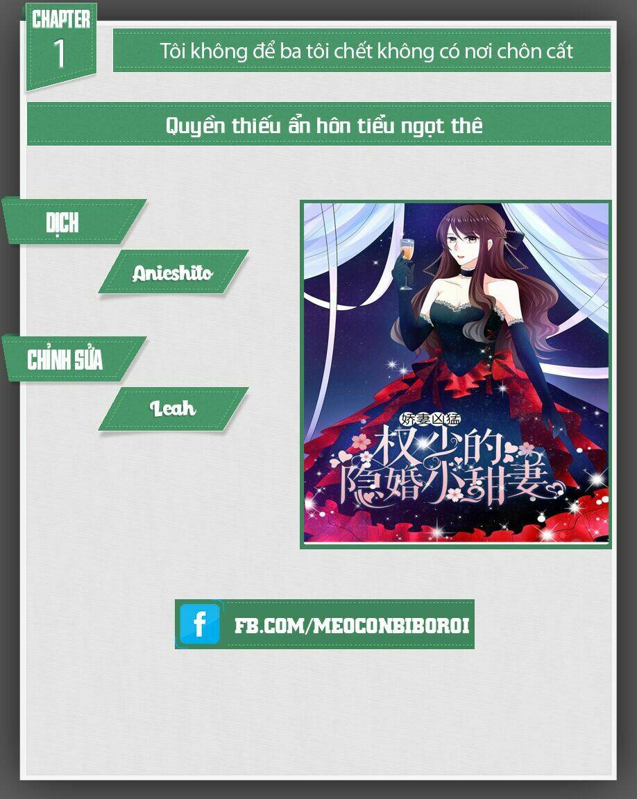 quyền thiếu ẩn hôn tiểu ngọt thê chapter 1 1