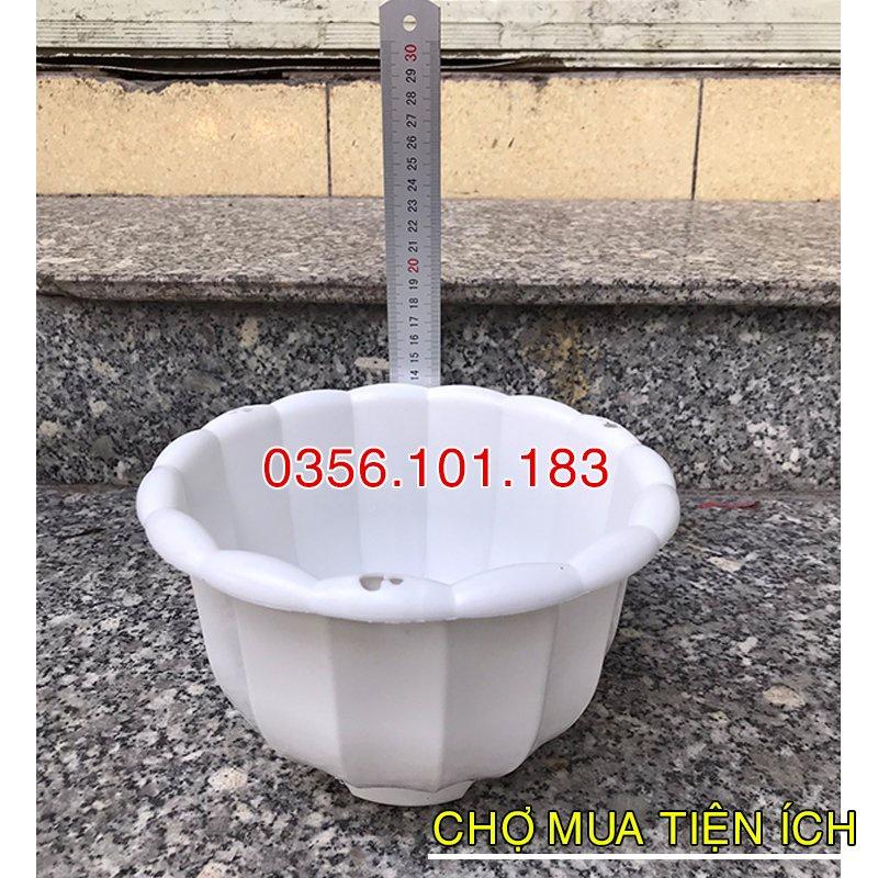 Chậu nhựa treo hình quả bí hàng loại 1- Chậu nhựa bí trồng cây hoa,cây cảnh nhiều màu