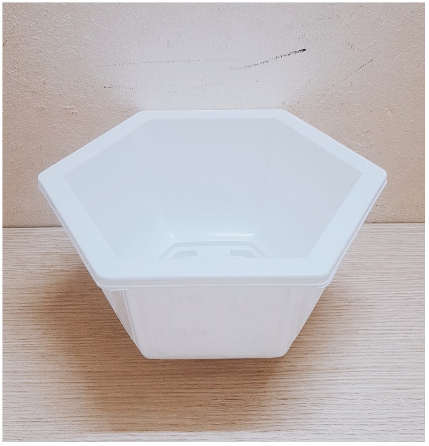 3 Châu Nhựa Bonsai Lục Giác 250x150 Trồng Hoa, Cây Cảnh - Màu Trắng