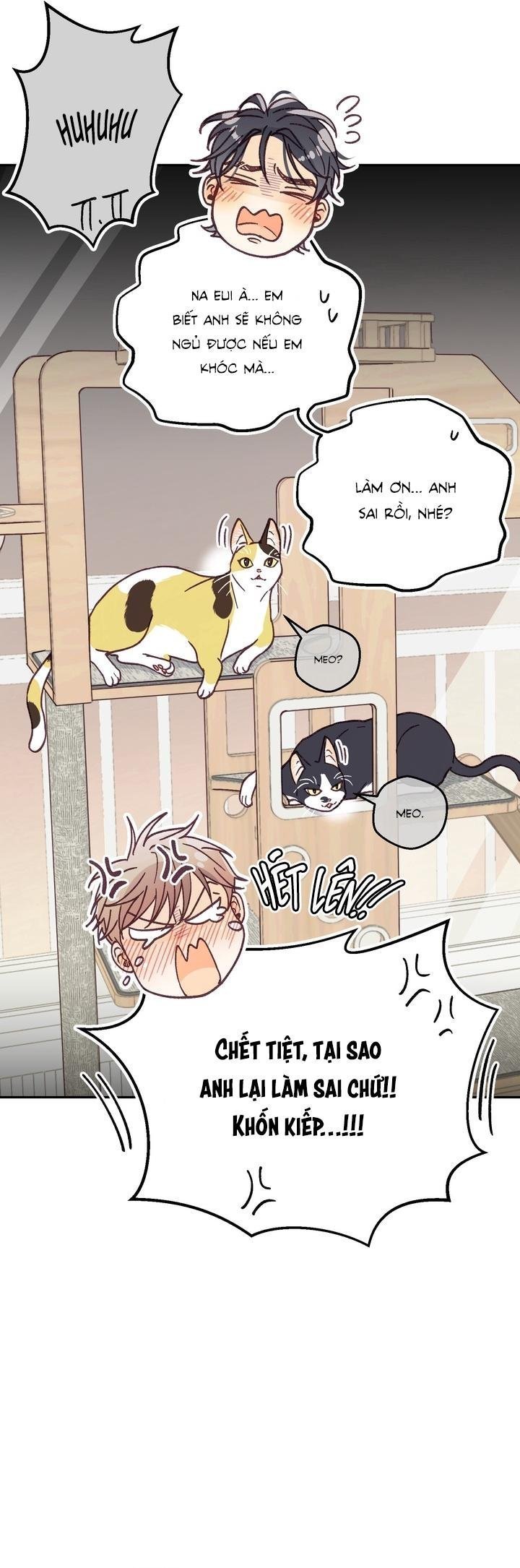 bạn trai vô song của tôi Chapter 36 NT4 42