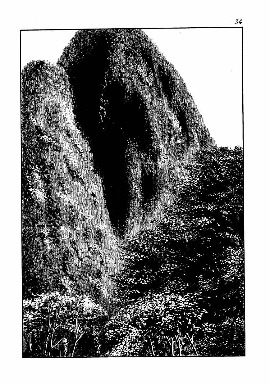 chim lửa chapter 78 11