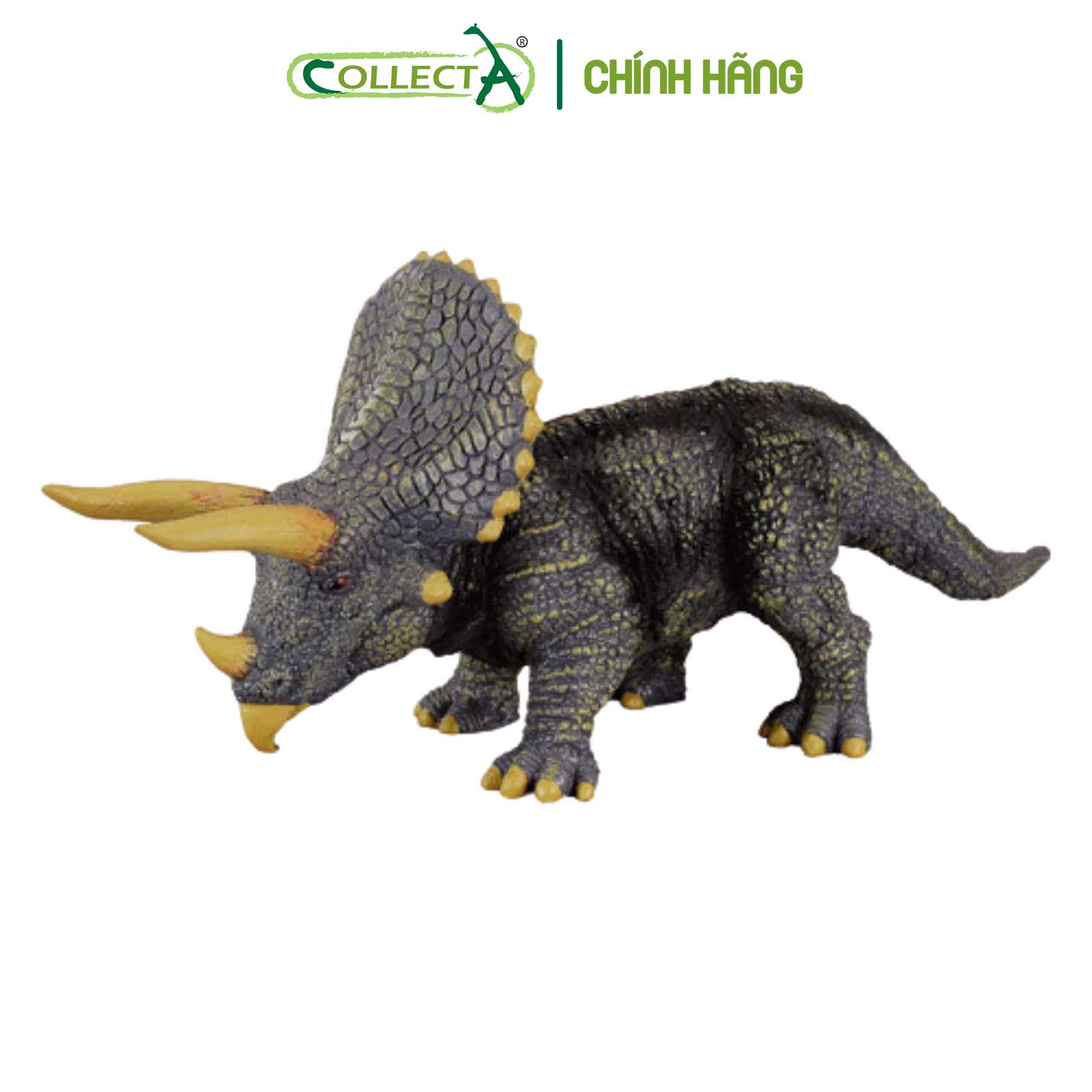 Mô hình thu nhỏ: Khủng Long Triceratops  - Triceratops, hiệu: CollectA, mã HS 9654020[88037] -  Chất liệu an toàn cho trẻ - Hàng chính hãng